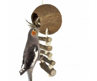 Back Zoo Nature Coconut with Ladder