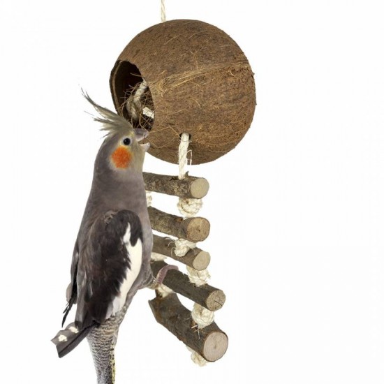 Back Zoo Nature Coconut with Ladder