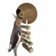 Back Zoo Nature Coconut with Ladder