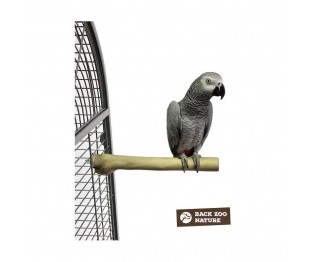 Back Zoo Nature Java Single Perch Medium