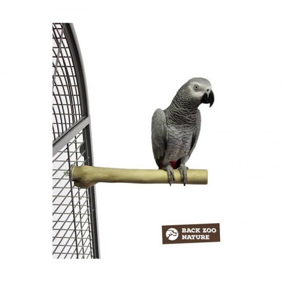 Back Zoo Nature Java Single Perch Medium