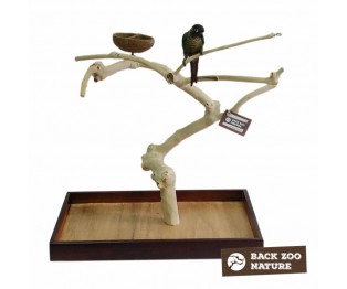 Back Zoo Nature Java Playstand Premium Medium