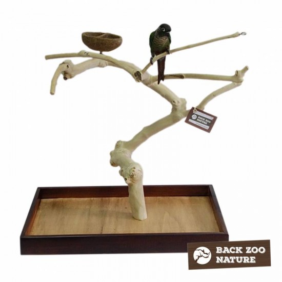 Back Zoo Nature Java Playstand Premium Medium