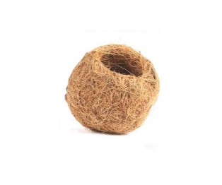 COCO CAVE 