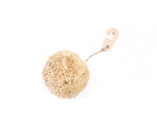CORNY POMPOM 