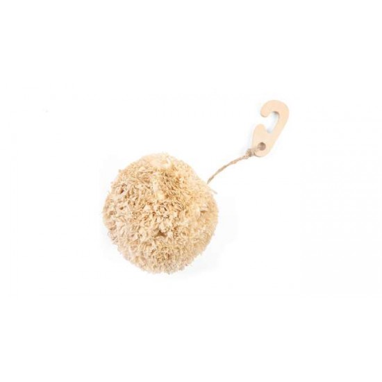 CORNY POMPOM 