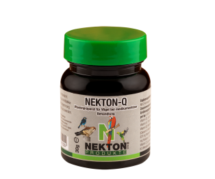 NEKTON - Q