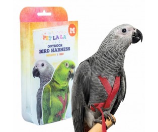 Petlala Outdoor Bird Harness Medium Red