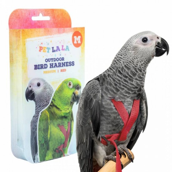 Petlala Outdoor Bird Harness Medium Red
