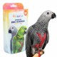 Petlala Outdoor Bird Harness Medium Red