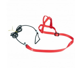 Petlala Outdoor Bird Harness Small Red