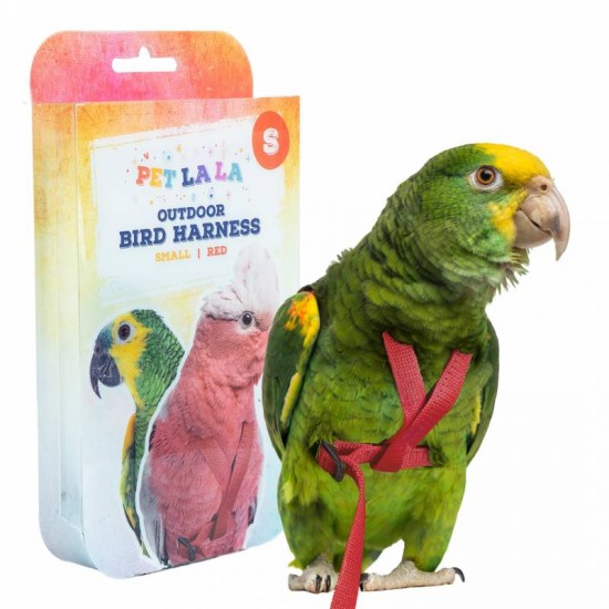 Petlala Outdoor Bird Harness Small Red
