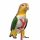 Petlala Outdoor Bird Harness X-Small Red