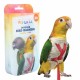 Petlala Outdoor Bird Harness X-Small Red