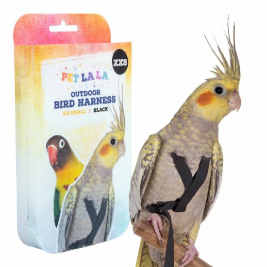 Petlala Outdoor Bird Harness XX-Small Black