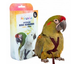 PetlalaOutdoor Bird Harness Large Black