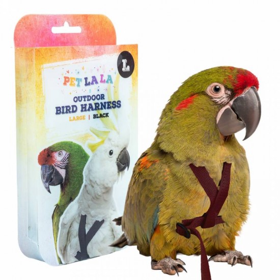 PetlalaOutdoor Bird Harness Large Black
