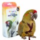 PetlalaOutdoor Bird Harness Large Black