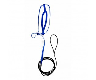 Aviator Bird Harness Large Blue