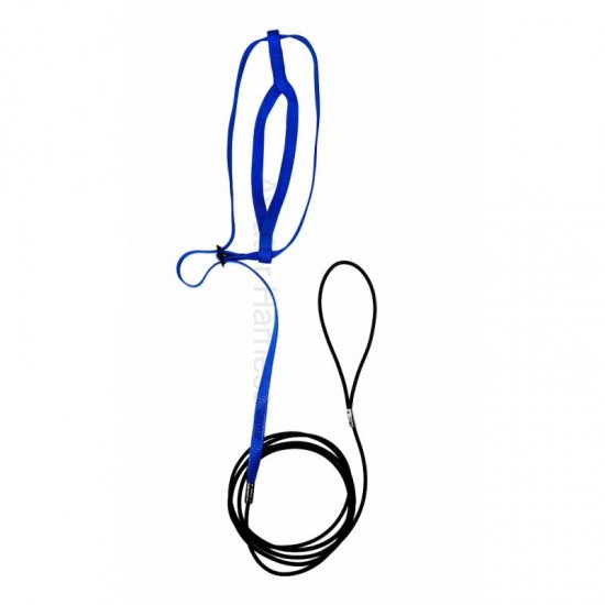 Aviator Bird Harness Large Blue