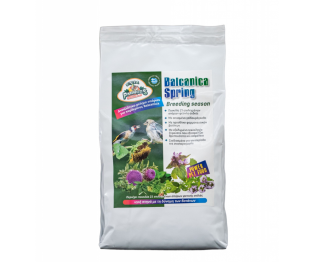Evia Parrots Balcanica Spring