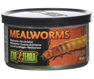 Exo Terra Mealworms 1.2 oz 34g