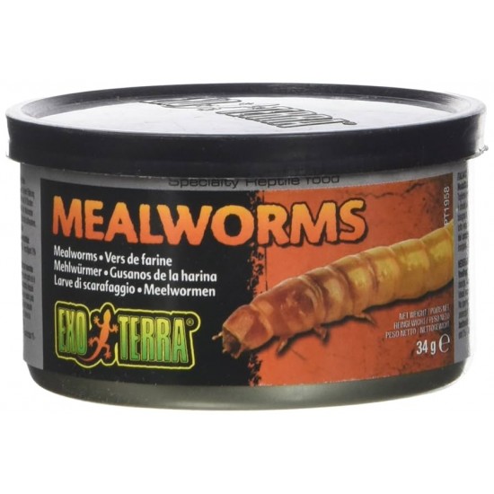 Exo Terra Mealworms 1.2 oz 34g