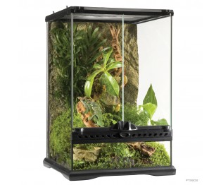 Natural Terrarium Mini Tall