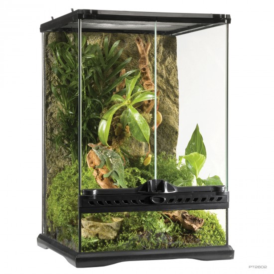 Natural Terrarium Mini Tall