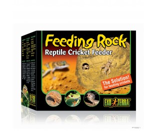 FEEDING ROCK