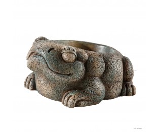 AZTEC FROG