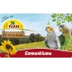 JR FARM Sunflower