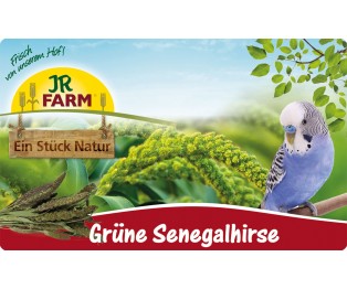 JR FARM Green Senegal Millet