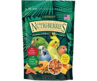 LAFEBER Tropical Fruit Parakeet Nutri-Berries For Cockatiels