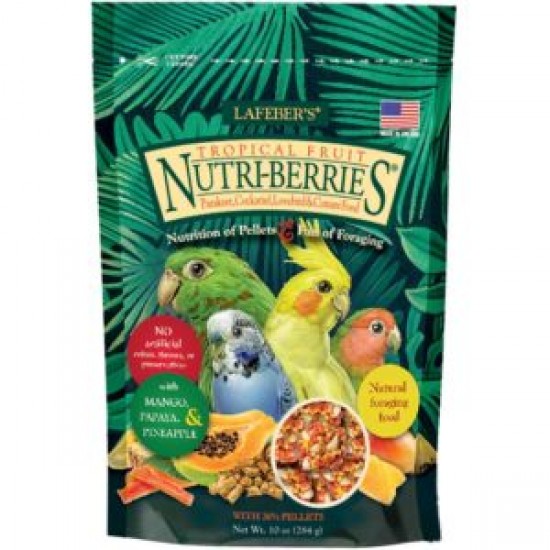 LAFEBER Tropical Fruit Parakeet Nutri-Berries For Cockatiels