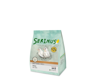 SERINUS White Hand Feeding
