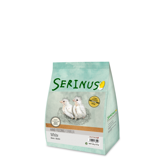 SERINUS White Hand Feeding